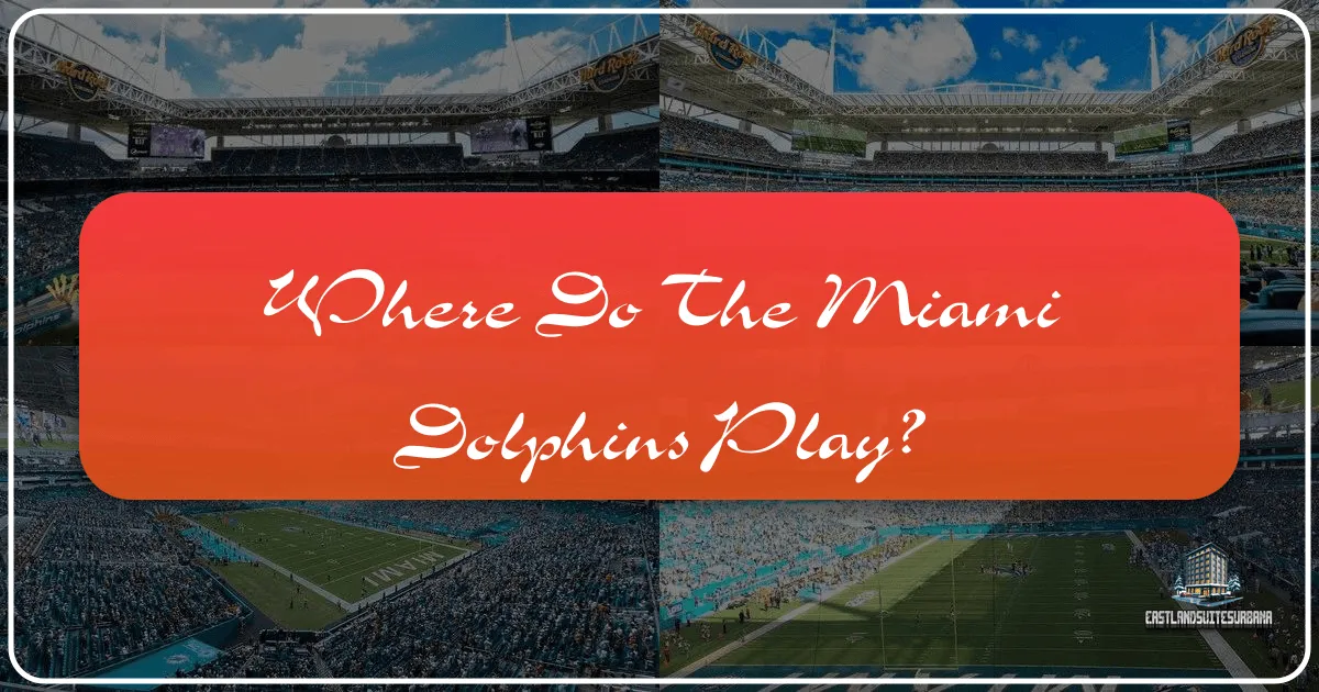 Where Do The Miami Dolphins Play?