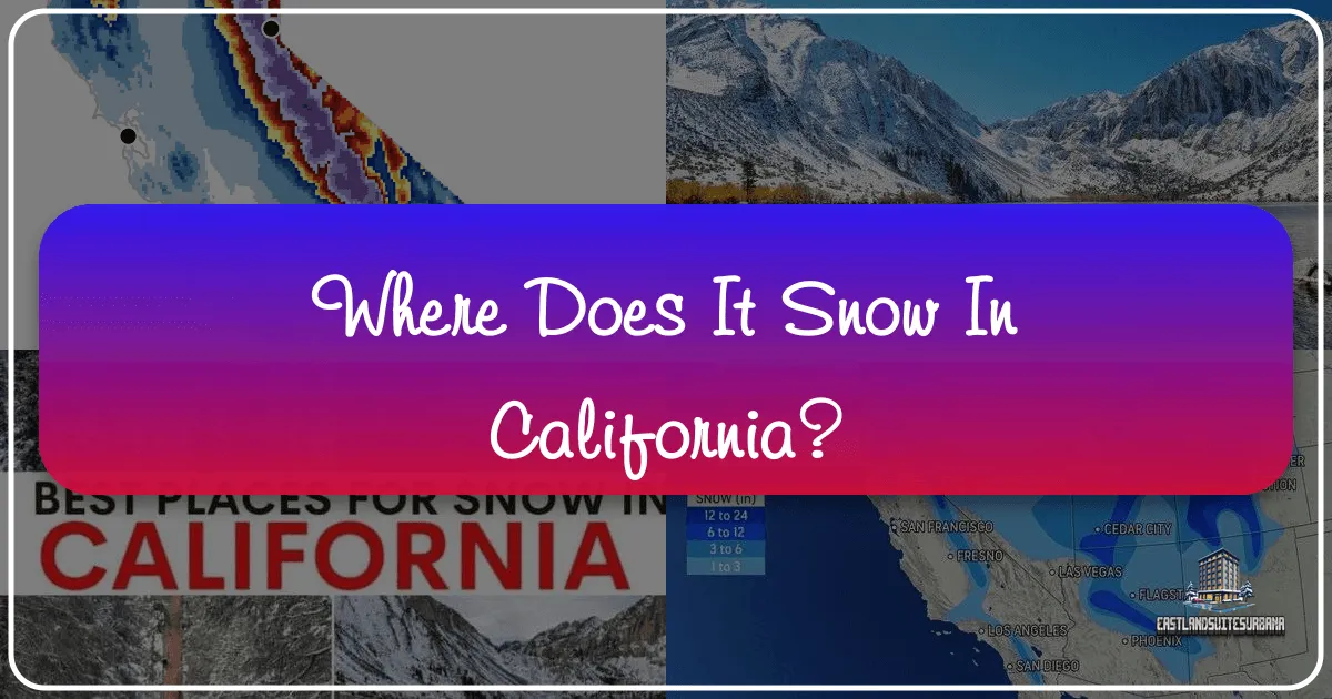 Where Does It Snow in California?