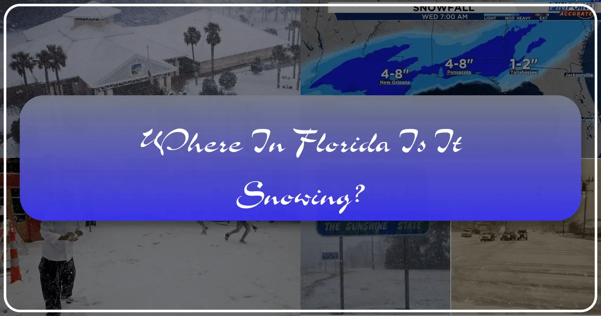 Where in Florida Is It Snowing?