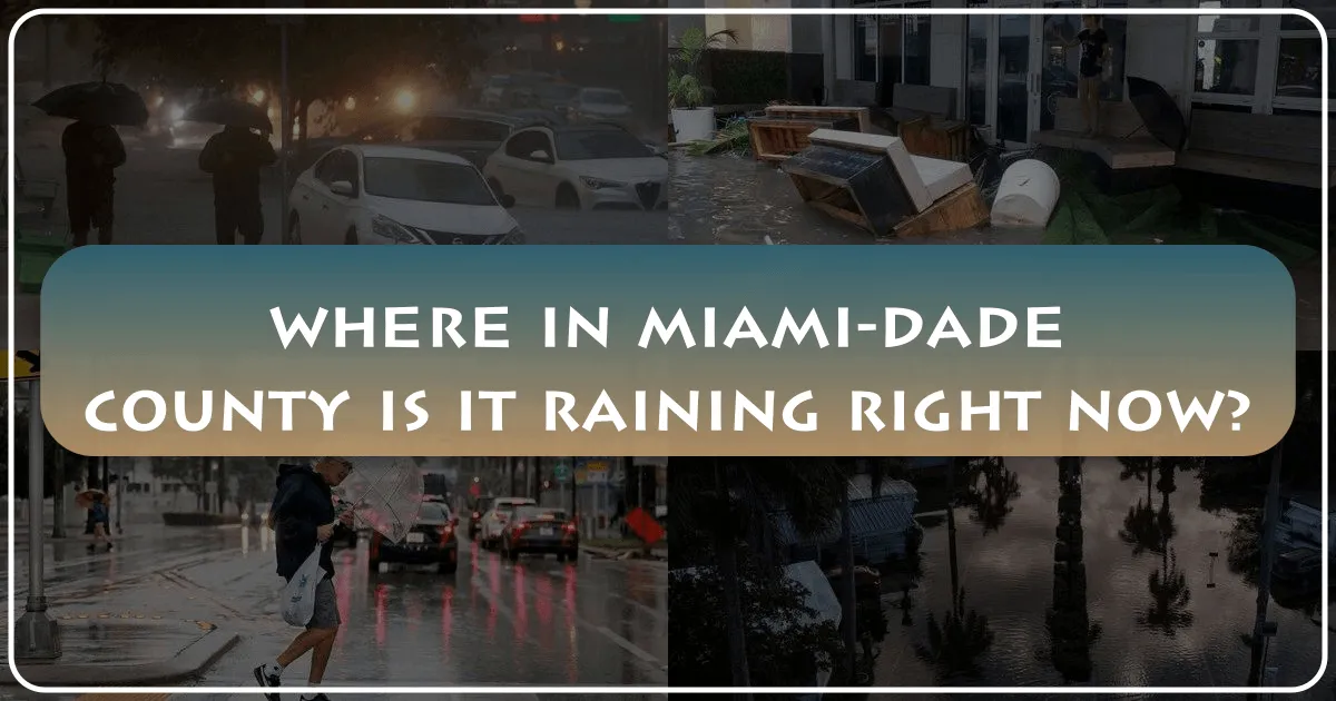 Where in Miami-Dade County is it Raining Right Now: Navigating Weather for Your Perfect Florida Getaway
