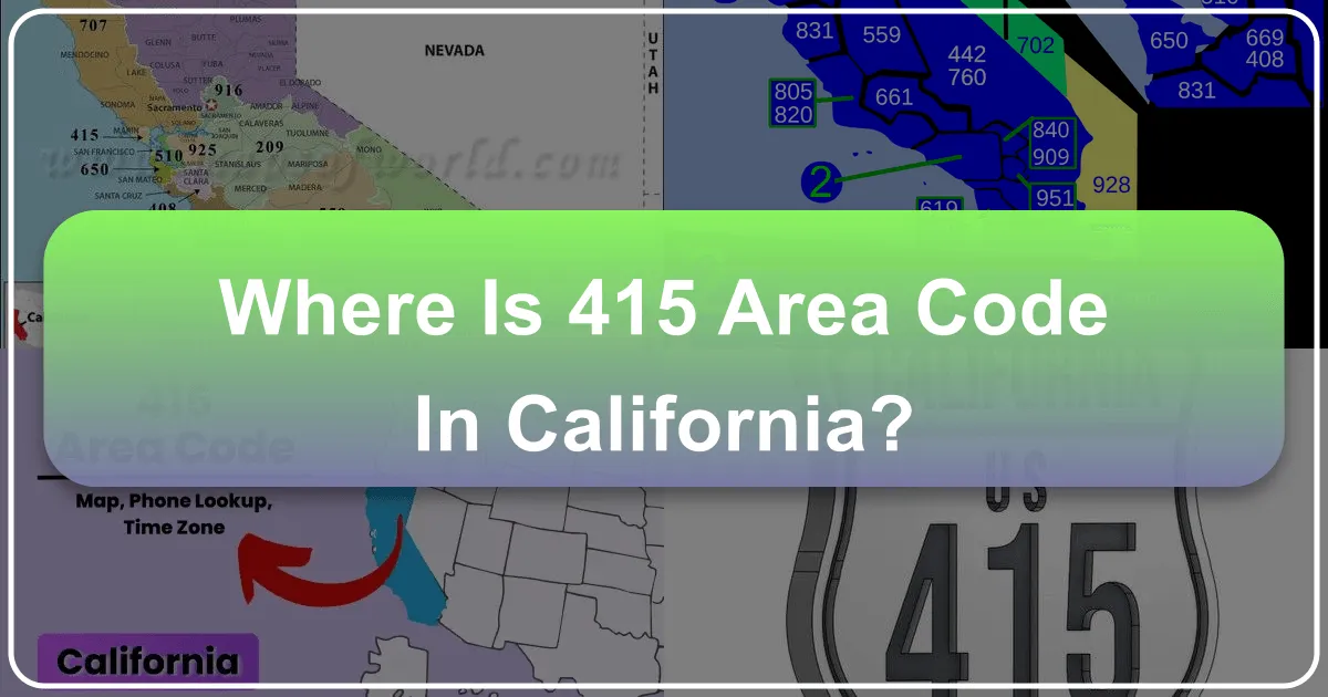 Unveiling the 415 Area Code: A Deep Dive into San Francisco's Iconic Identity