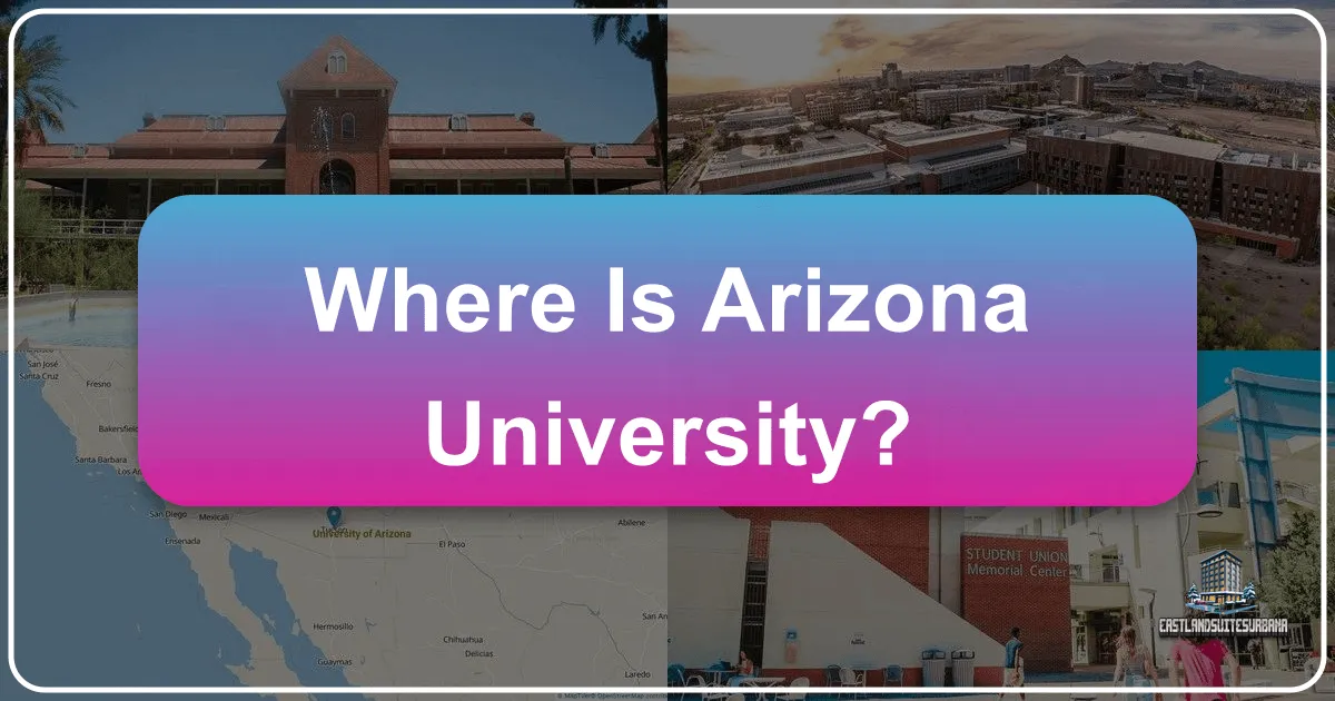 Where is Arizona University?