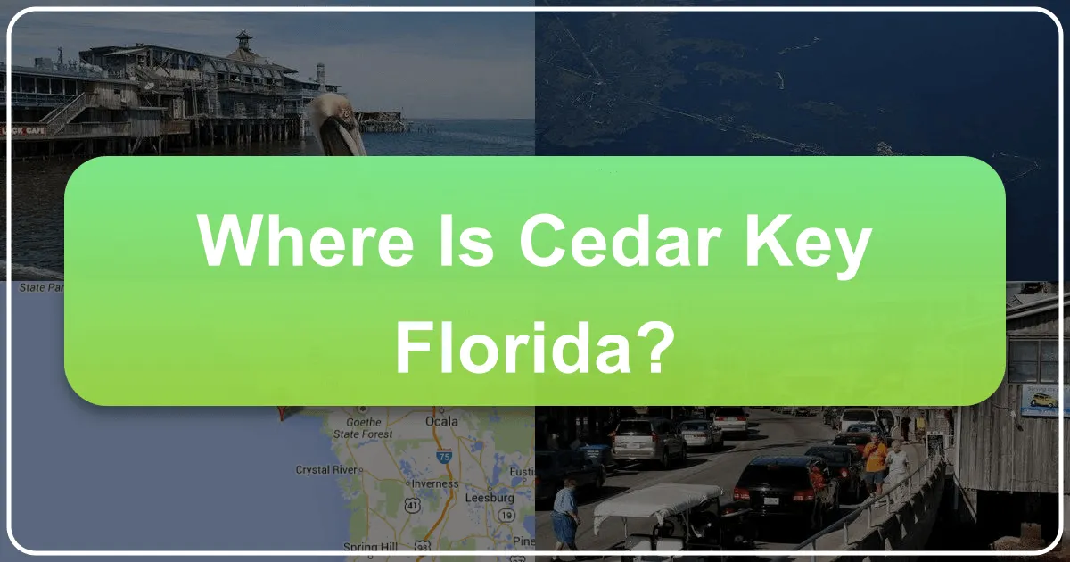 Discovering Cedar Key, Florida: A Comprehensive Guide to this Gulf Coast Gem