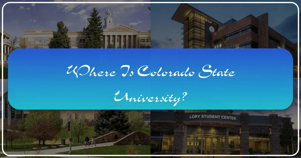 Where is Colorado State University?