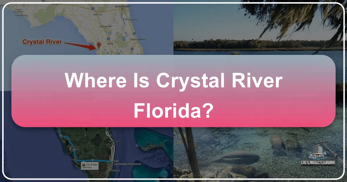 Where is Crystal River Florida