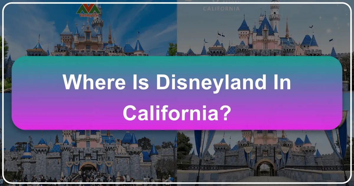 Where is Disneyland in California?