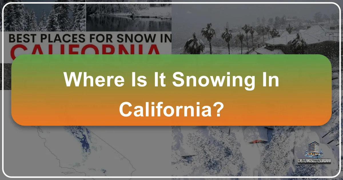 Where Is It Snowing In California?