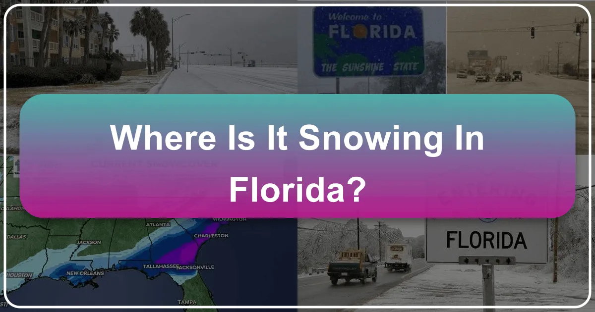 Where Is It Snowing In Florida?