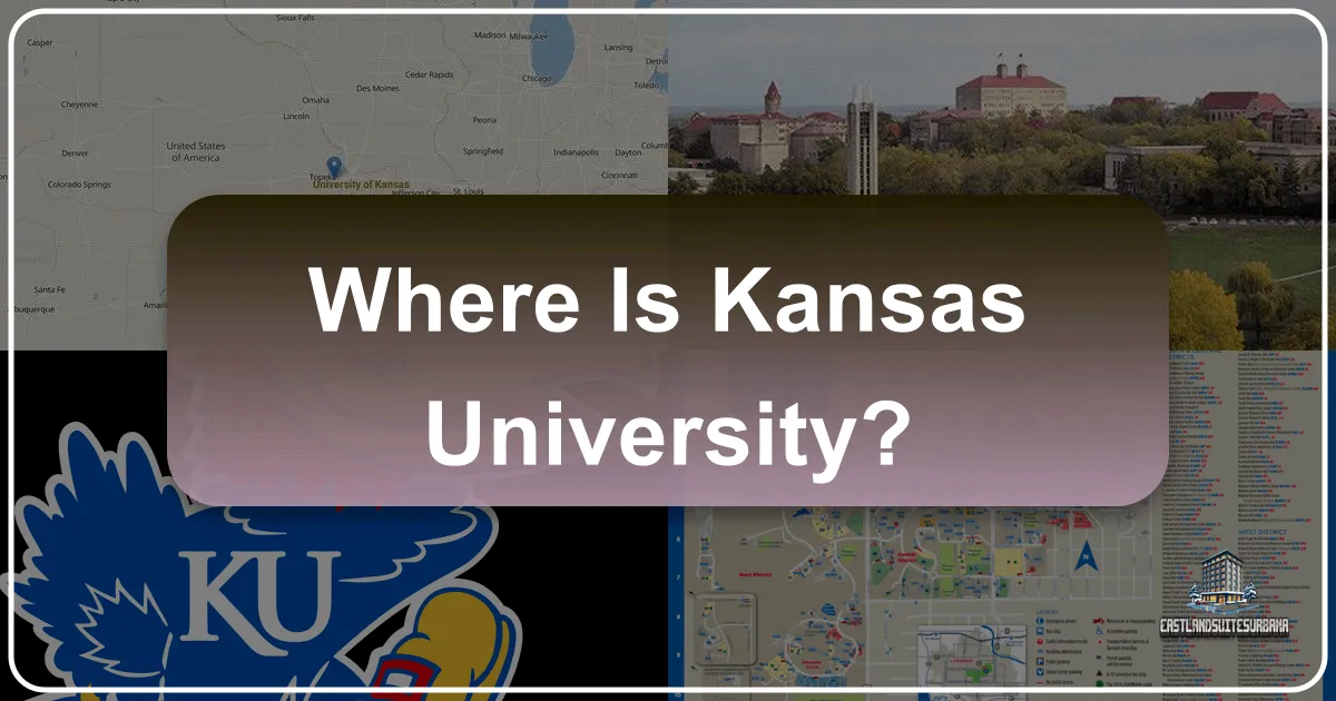Where is Kansas University?