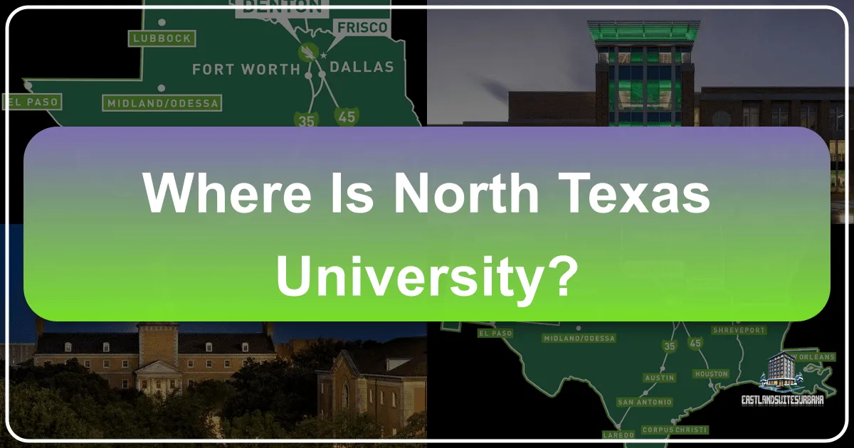Where is North Texas University Located and What Awaits Visitors?