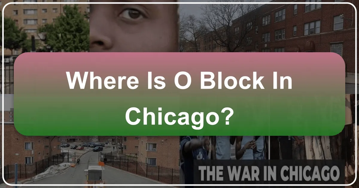 where is o block in chicago