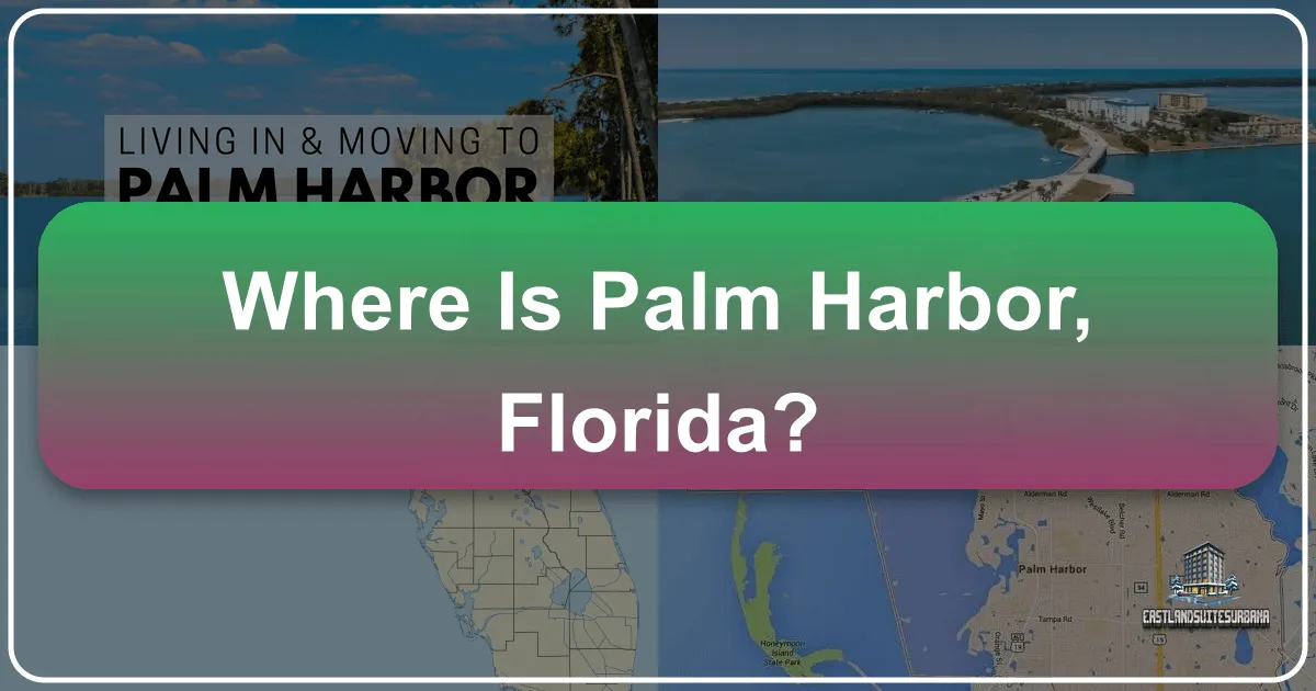 where is palm harbor florida