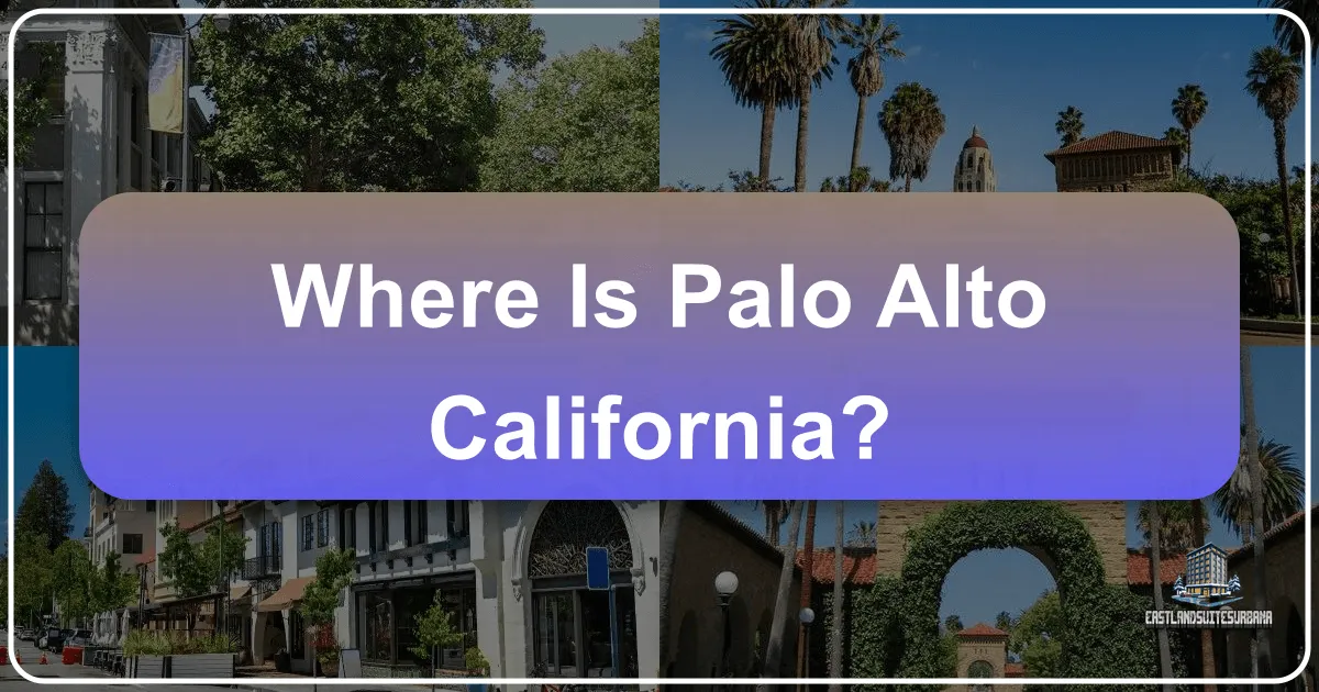 Where Is Palo Alto California?