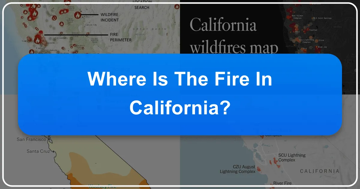 Navigating the Golden State: Where California's Allure Continues to Shine Bright