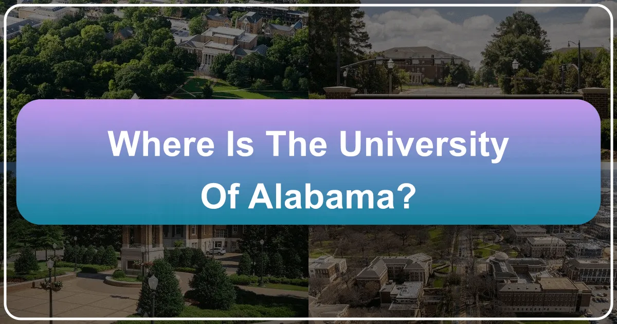 Unveiling the Location and Allure of the University of Alabama