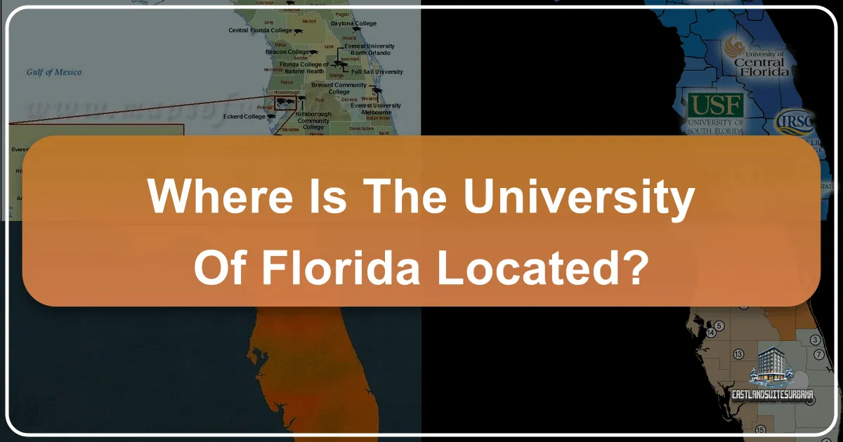 Where Is The University Of Florida Located?