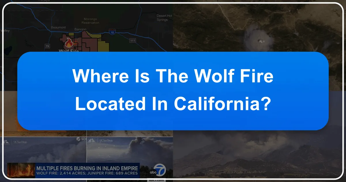 Where is the Wolf Fire Located in California: Navigating Travel in Affected Regions