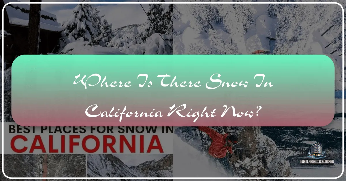 Where Is There Snow In California Right Now?