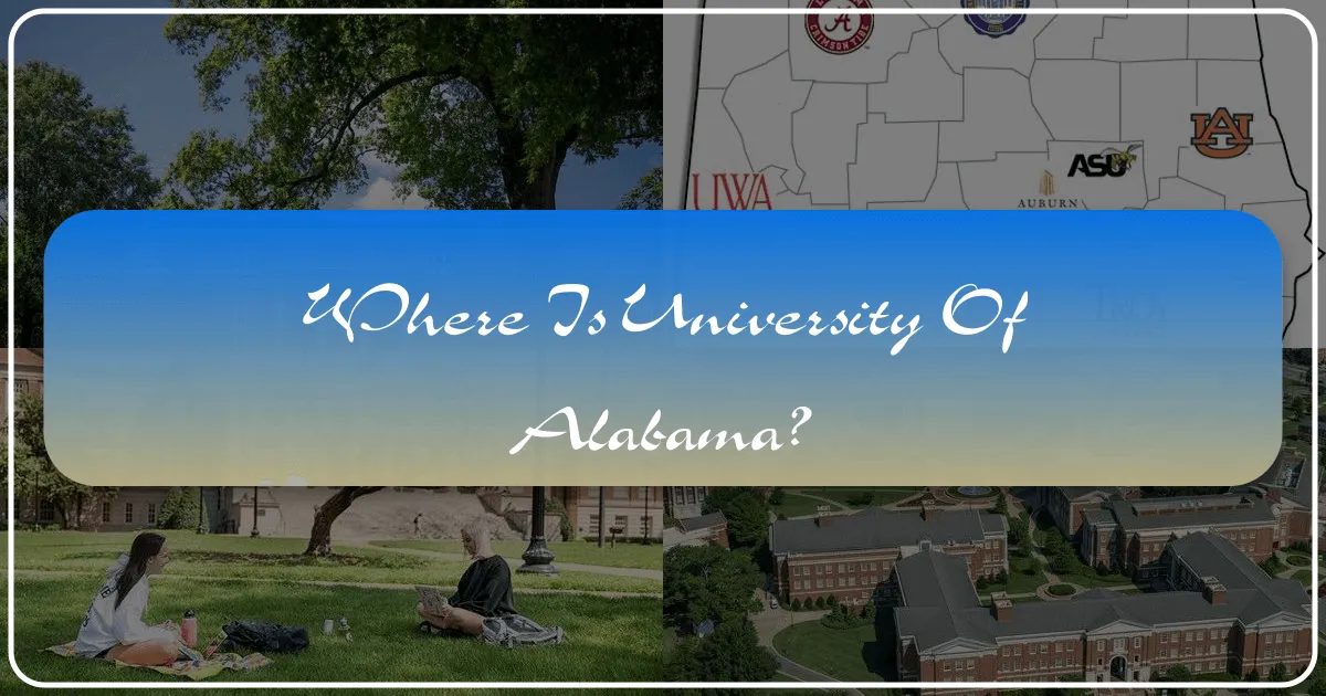 Where is University of Alabama?