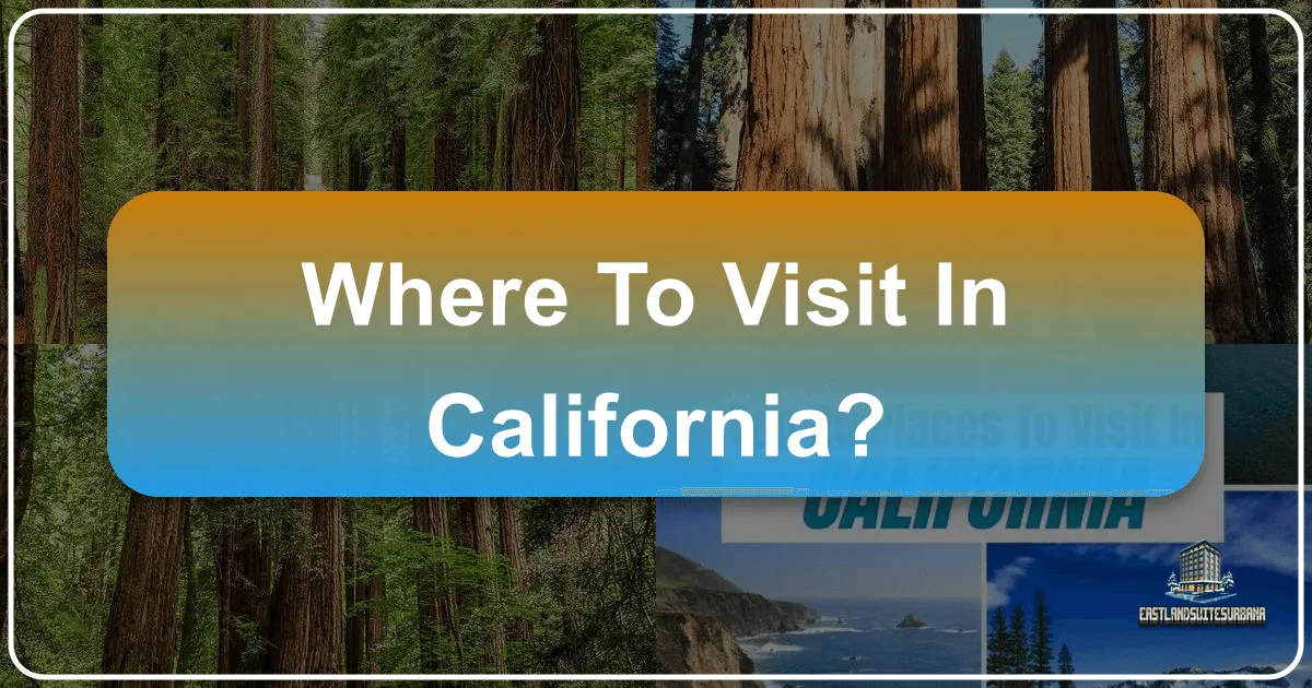Where To Visit In California?