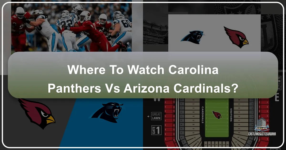 Where to Watch Carolina Panthers vs Arizona Cardinals