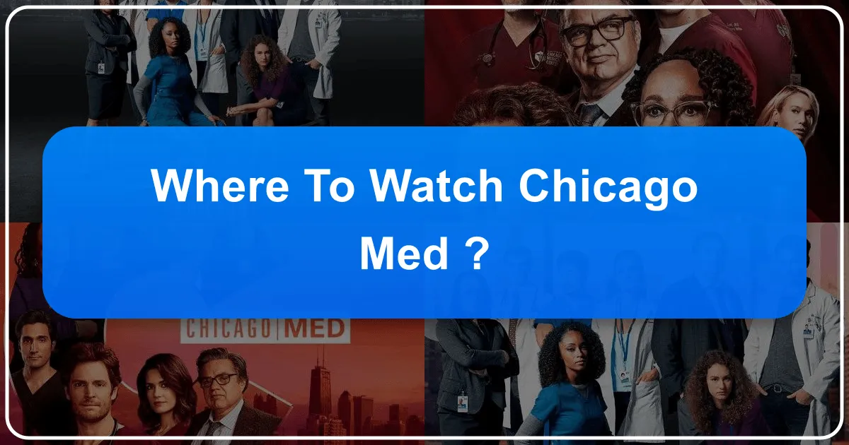 Beyond the Screen: Your Guide to Experiencing Chicago, Inspired by Chicago Med