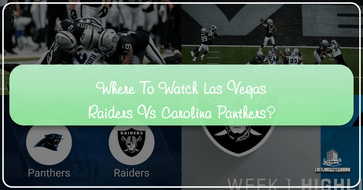 Where To Watch Las Vegas Raiders Vs Carolina Panthers?