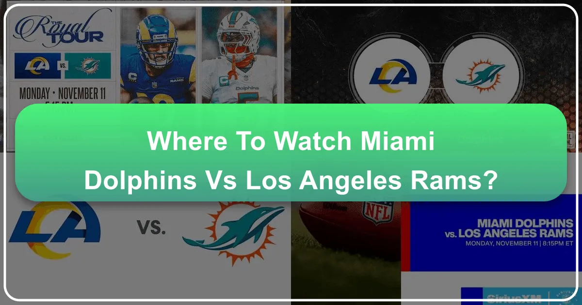 Where to Watch the Miami Dolphins vs. Los Angeles Rams: A Fan's Guide to Ultimate Game Day Travel & Hospitality