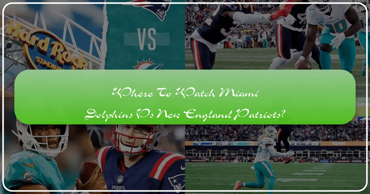 Where to Watch the Miami Dolphins vs. New England Patriots Game: A Comprehensive Guide for Travelers and Fans
