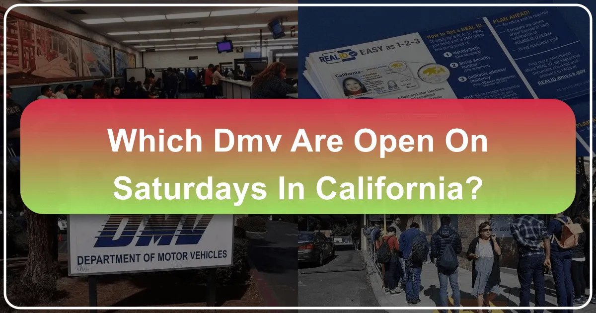 Which DMV Offices Are Open on Saturdays in California?