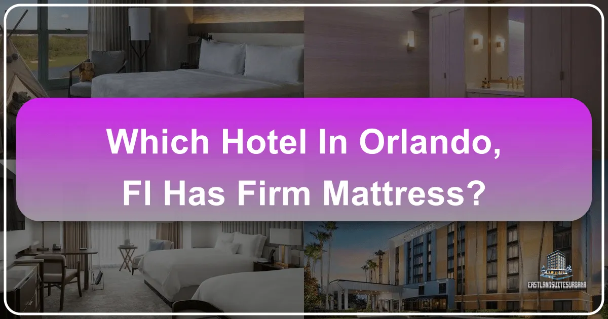 Which Hotel In Orlando, Fl Has Firm Mattress?