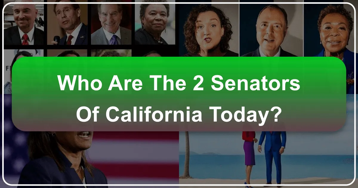 California's Global Appeal: More Than Just Two Senators
