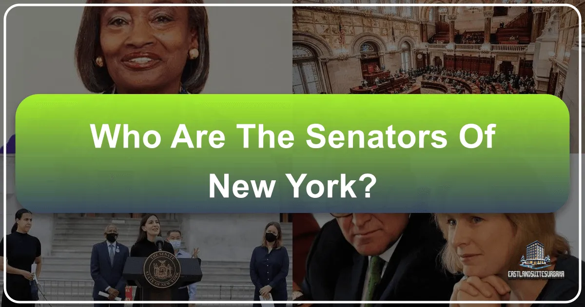 Who Are The Senators Of New York?