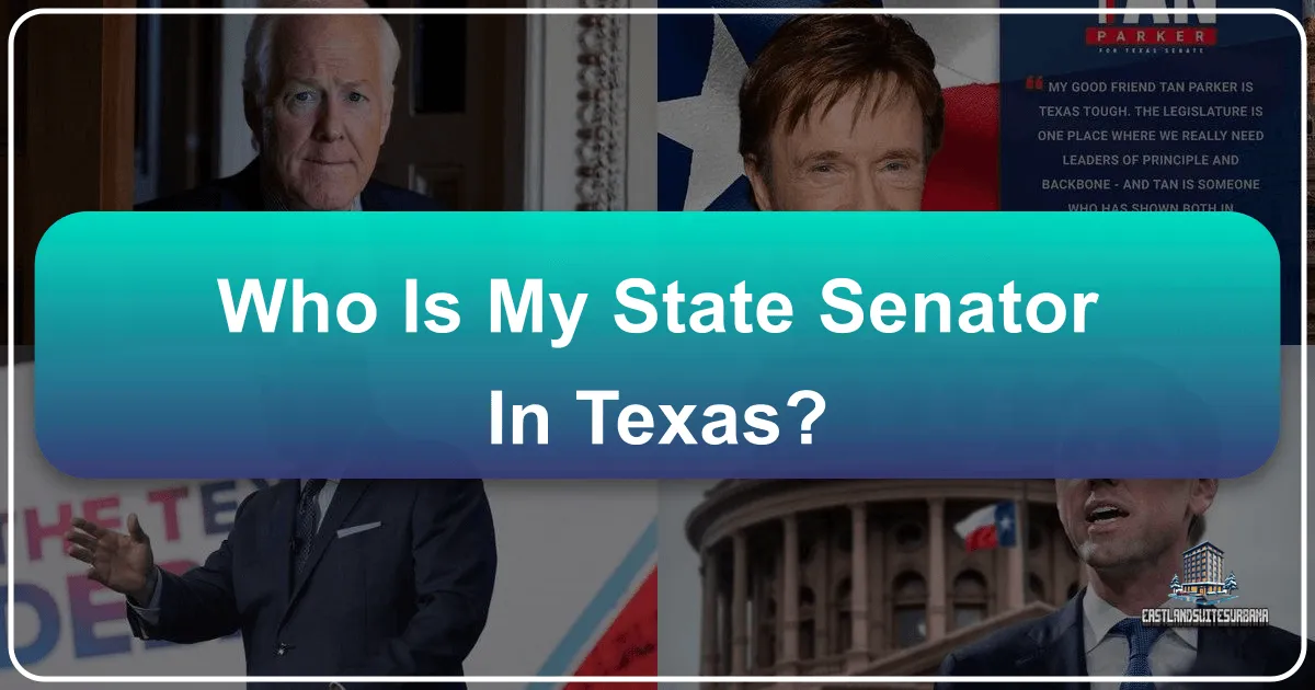 Who is My State Senator in Texas