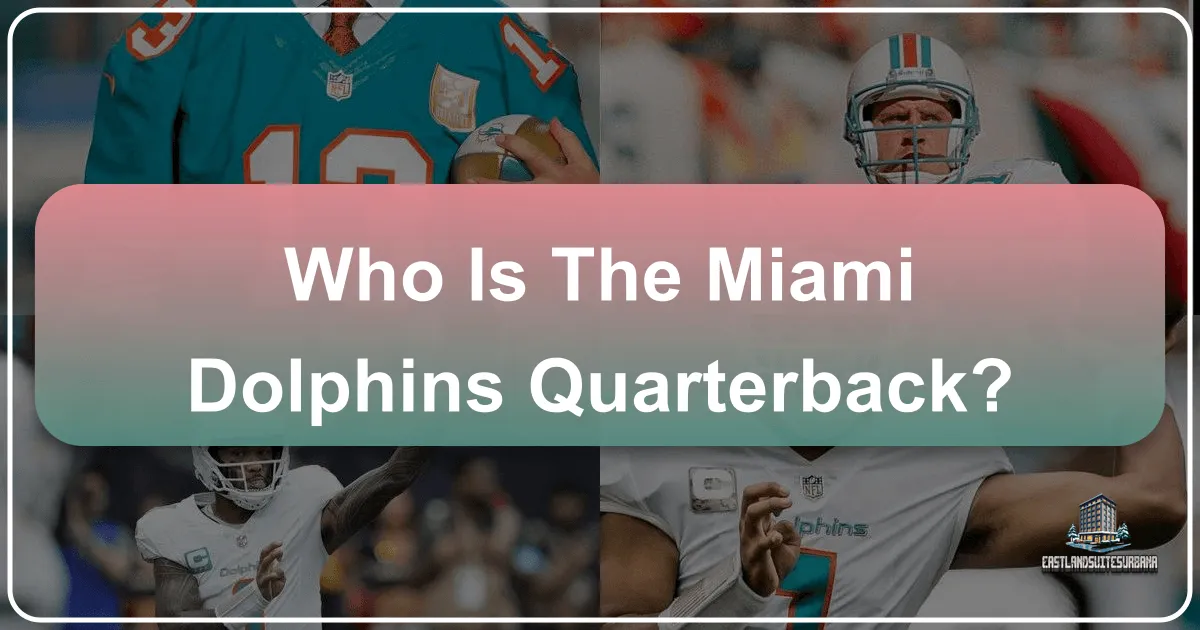 Who Is The Miami Dolphins Quarterback?