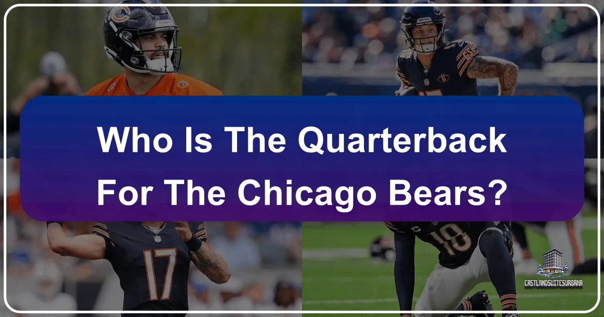 Who is the Quarterback for the Chicago Bears?