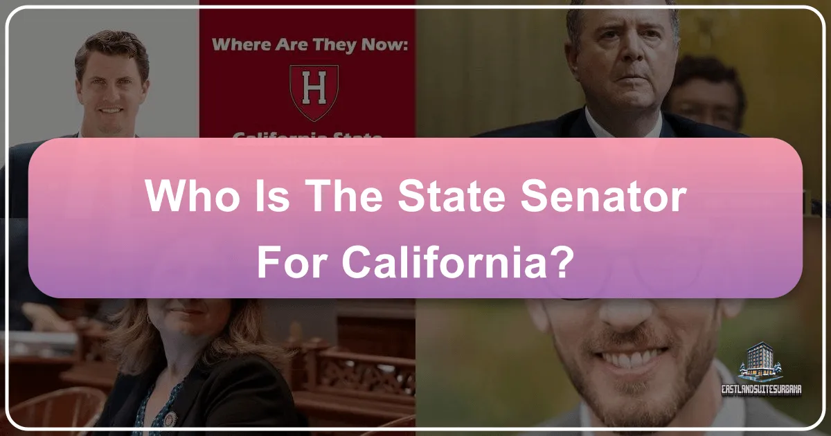 Who Is The State Senator For California?