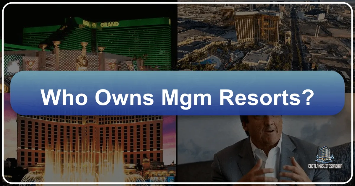 Who Owns MGM Resorts?