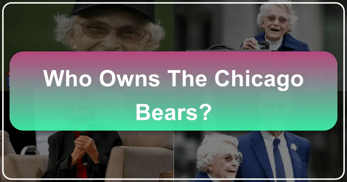 who owns the chicago bears