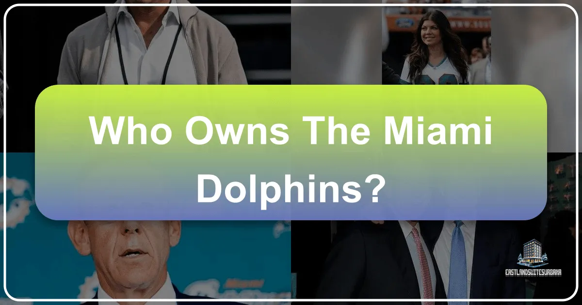 Who Owns the Miami Dolphins? A Deep Dive into Sports, Philanthropy, and Miami's Global Appeal