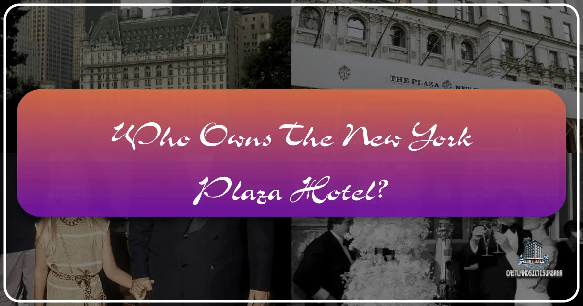 Who Owns The New York Plaza Hotel?