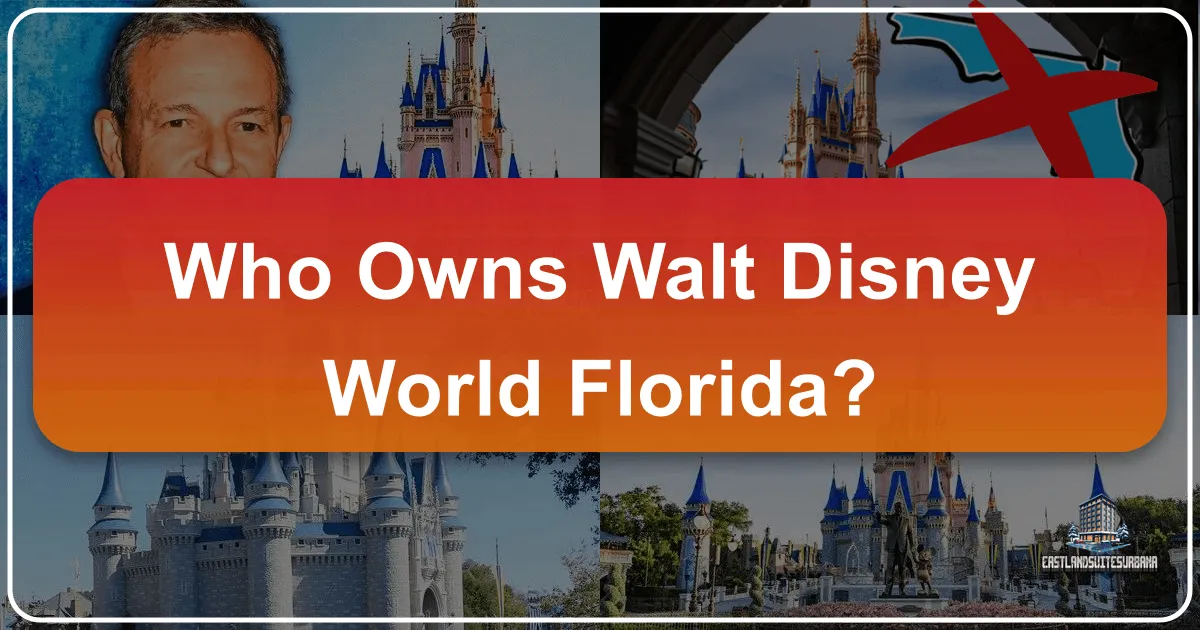 Who Owns Walt Disney World Florida?