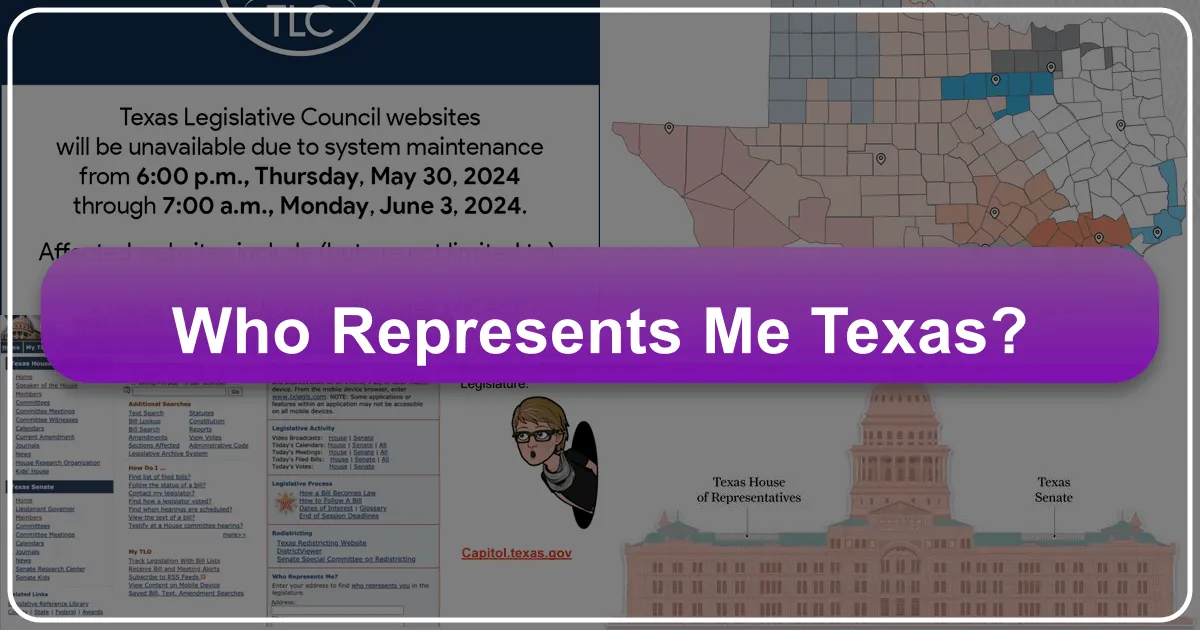Who Represents Me Texas