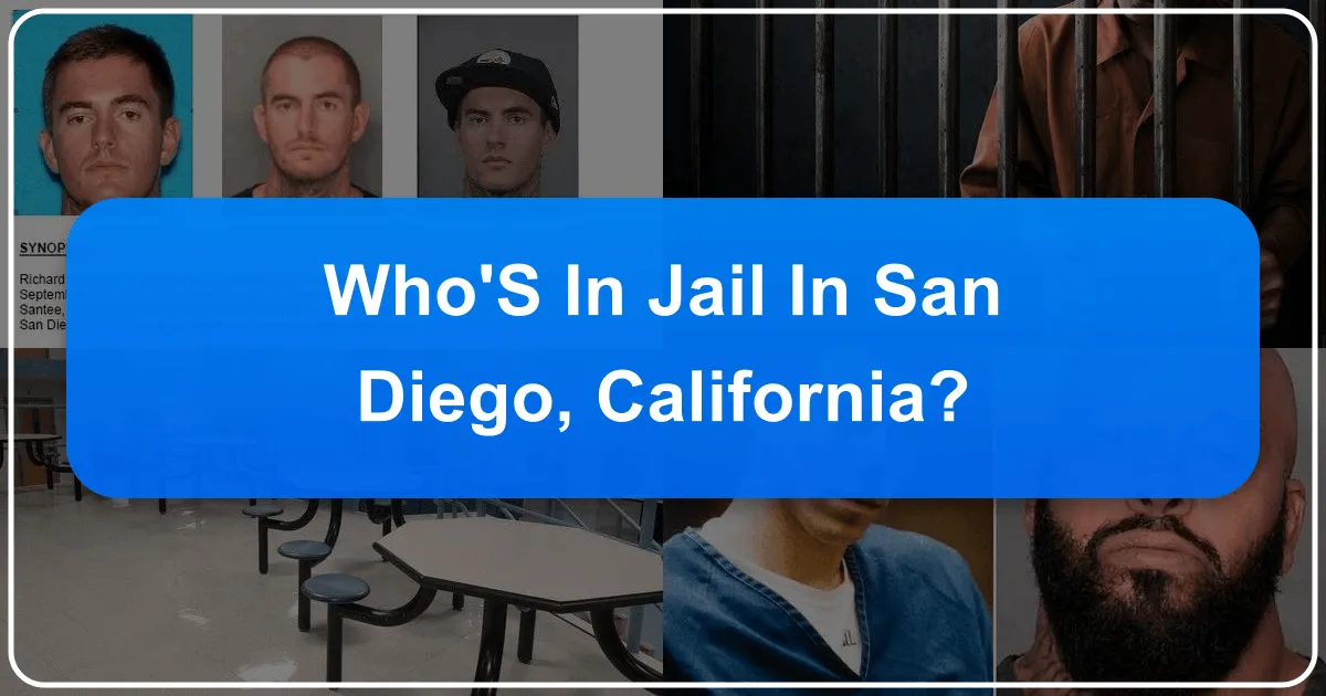 Who's in Jail in San Diego, California: Navigating the System for Visitors and Travelers