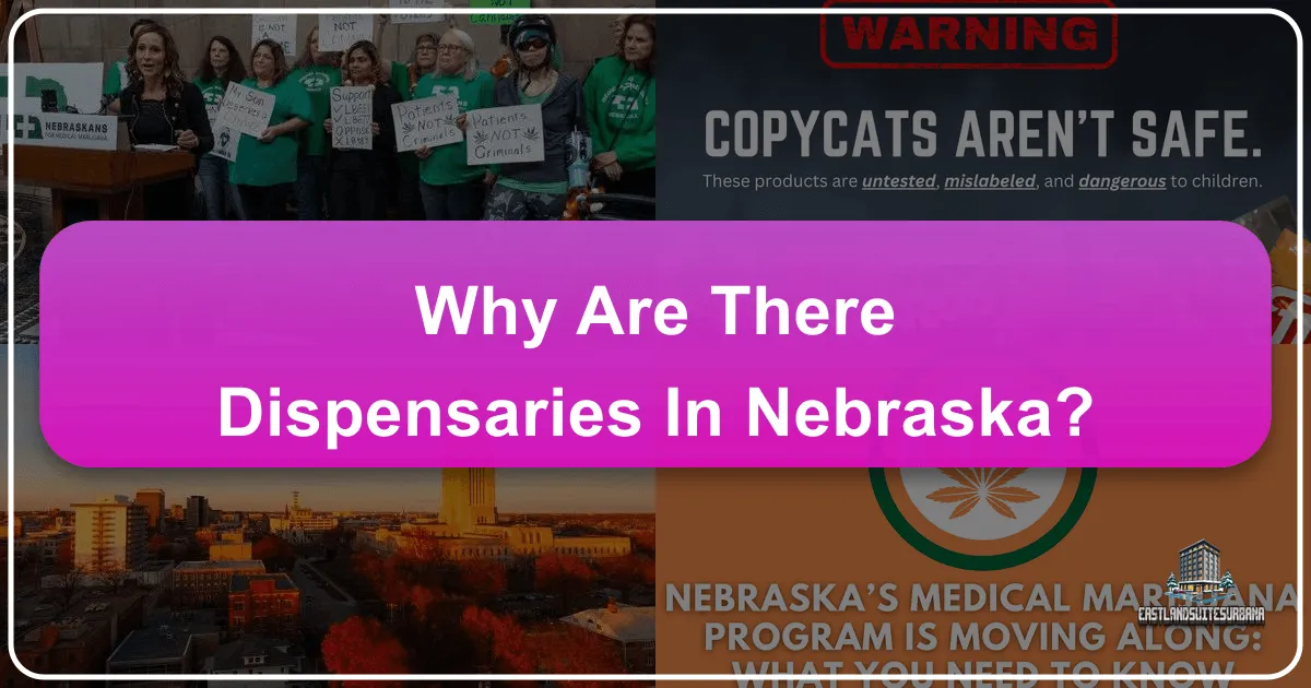 Why Are There Dispensaries in Nebraska?