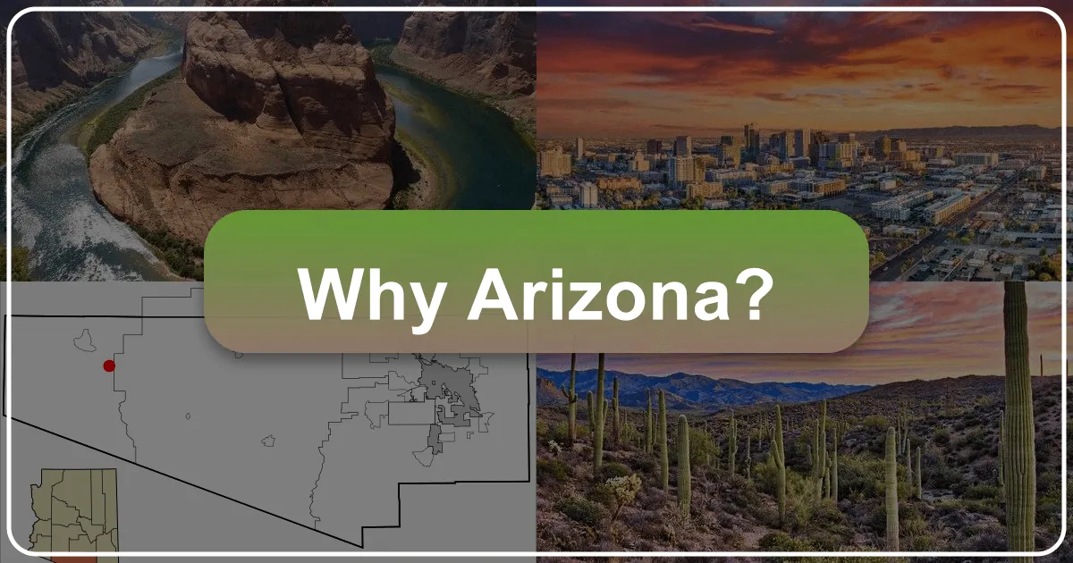 Why Arizona?