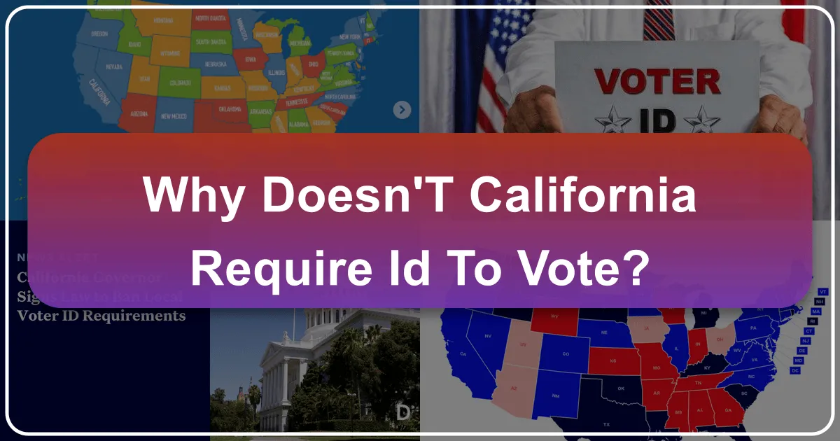 Why Seamless Access and Identity Verification Shape the California Travel Experience