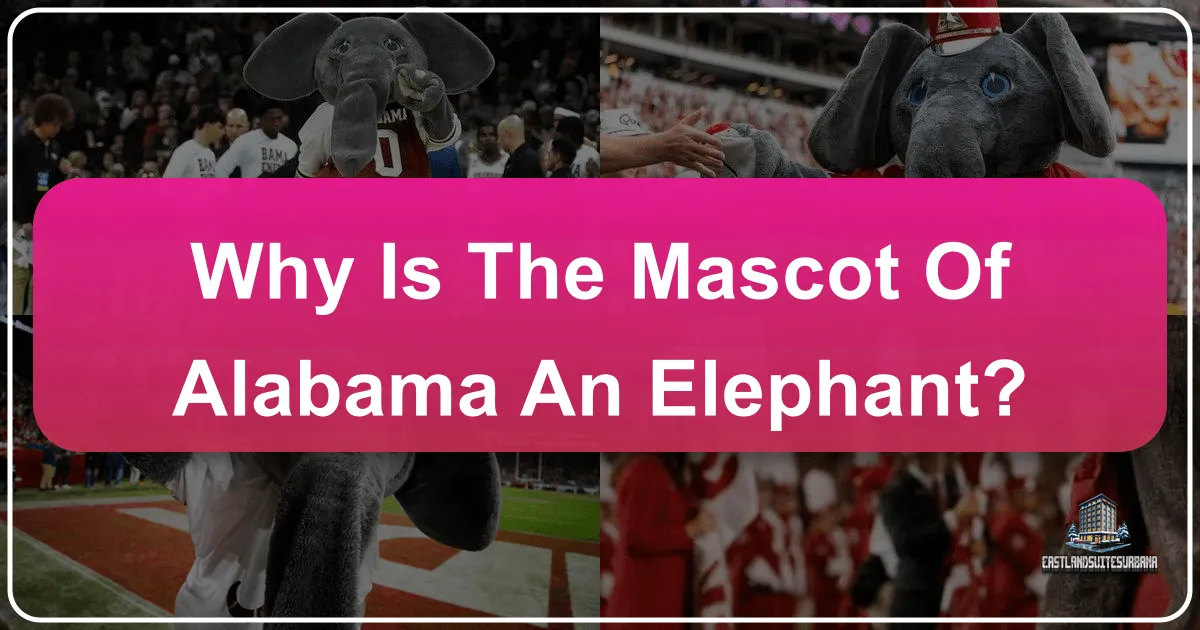 Unraveling the Mystery: Why the University of Alabama's Mascot is an Elephant
