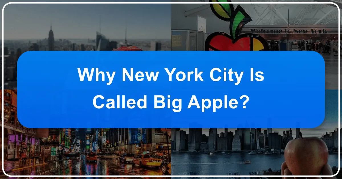 Why New York City is Called The Big Apple