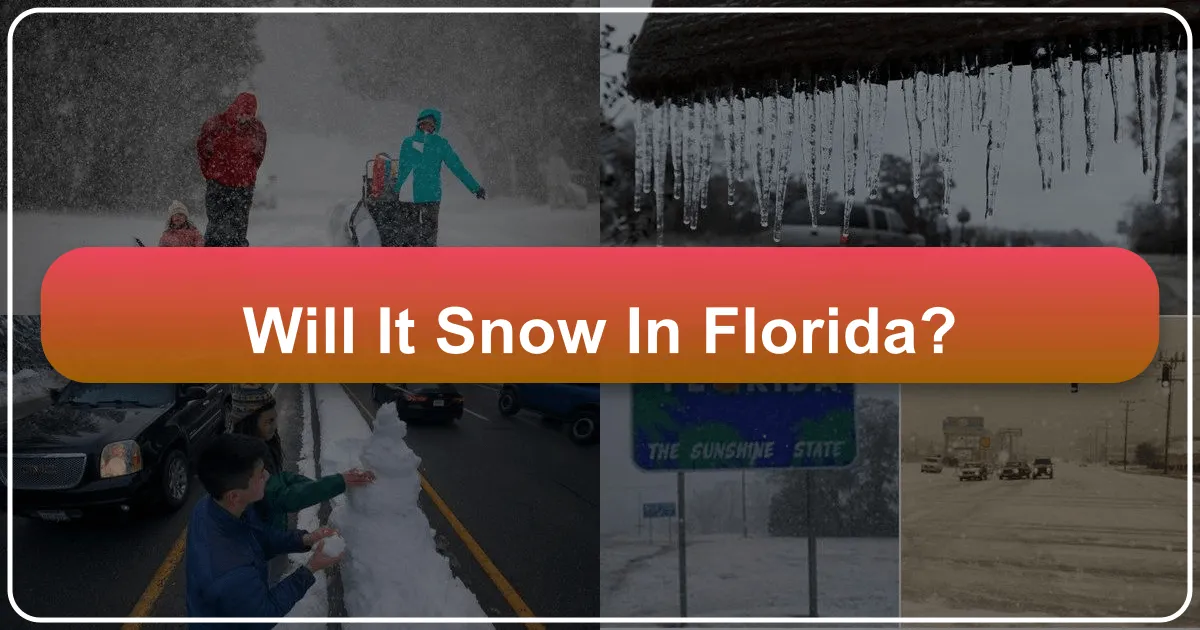Will it Snow in Florida? Unpacking the Sunshine State's Winter Wonders